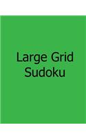 Large Grid Sudoku: Fun, Large Print Sudoku Puzzles