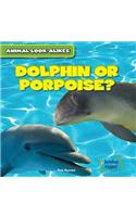 Dolphin or Porpoise?