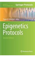 Epigenetics Protocols