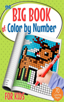 The Big Book of Color by Number for Kids