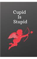 Cupid Is Stupid