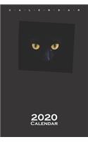 schwarze Katzenaugen Calendar 2020