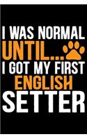I Was Normal Until I Got My First English Setter
