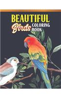 Beautiful Birds Coloring Book