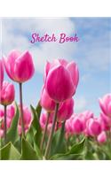 Sketch Book