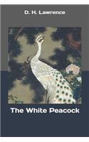 The White Peacock