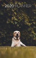 2020 Planner: Increase productivity, improve time management, reach your goals: Labrador Retriever in the park: Modern artistic photography style