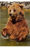 European Brown Bear Insists the Water Is Fine---Come on in Journal: 150 Page Lined Notebook/Diary