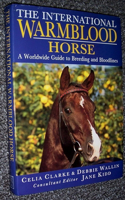 International Warmblood Horse
