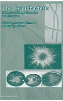 Cyanobacteria