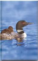 Loon Blank Journal