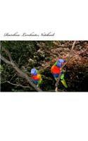 Rainbow Lorikeets Notebook