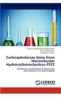 Carboxylesterase Gene from Marinobacter Hydrocarbonoclasticus PSTZ