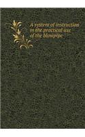 A System of Instruction in the Practical Use of the Blowpipe: (English)