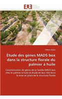 Étude Des Gènes Mads Box Dans La Structure Florale Du Palmier À Huile