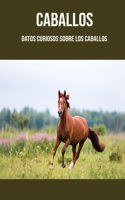 Caballos
