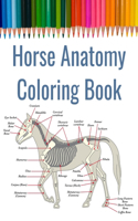 Horse Anatomy Coloring Book