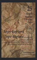 Lepidoptera