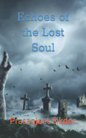 Echoes of the Lost Soul