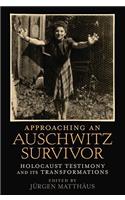 Approaching an Auschwitz Survivor