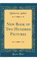 New Book of Two Hundred Pictures (Classic Reprint)