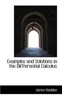 Examples and Solutions in the Differential Calculus