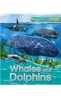 Whales and Dolphins