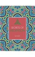 Secrets of Meditation: (4 Holistic Secrets)