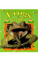 Frogs & Toads