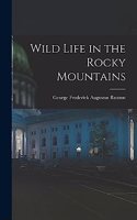 Wild Life in the Rocky Mountains