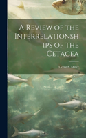 Review of the Interrelationships of the Cetacea