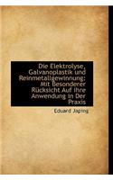 Die Elektrolyse, Galvanoplastik Und Reinmetallgewinnung: Mit Besonderer R Cksicht Auf Ihre Anwendung: Mit Besonderer R Cksicht Auf Ihre Anwendung