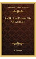 Public and Private Life of Animals