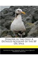 Disaster in the Gulf