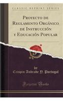 Proyecto de Reglamento Orgï¿½nico de Instrucciï¿½n y Educaciï¿½n Popular (Classic Reprint)