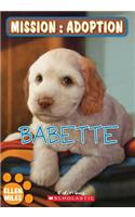 Mission: Adoption: Babette