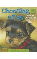 Choosing a Dog