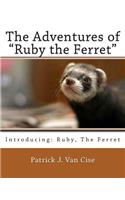 Adventures of Ruby the Ferret