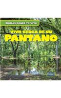 Vivo Cerca de Un Pantano (There's a Swamp in My Backyard!)