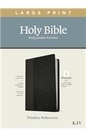KJV Large Print Thinline Reference Bible, Filament Enabled Edition (Red Letter, Leatherlike, Black/Onyx)