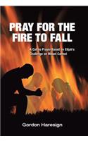 Pray for the Fire To Fall