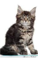 Maine Coon Cat Affirmations Workbook Maine Coon Cat Presents: Positive and Loving Affirmations Workbook. Includes: Mentoring Questions, Guidance, Supporting You.
