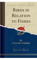 Birds in Relation to Fishes (Classic Reprint)