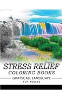 Stress Relief Coloring Books GRAYSCALE Landscape for Adults Volume 2