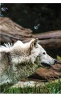 White Wolf Journal