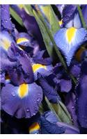 Journal Flowers Beautiful Blue Iris: (Notebook, Diary, Blank Book)