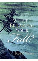 What's Breaking Your Fall?