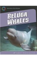 Beluga Whales