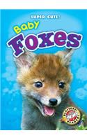 Baby Foxes
