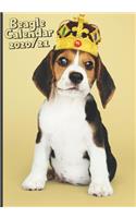 Funny Beagle Dog Daily Calendar 2020/2021